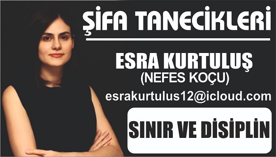 SINIR VE DİSİPLİN