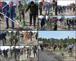 Adalet Ormanı oluşturuldu