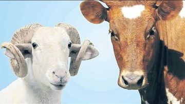 Kurban Kesim Elemanı Kursu için başvurular başladı