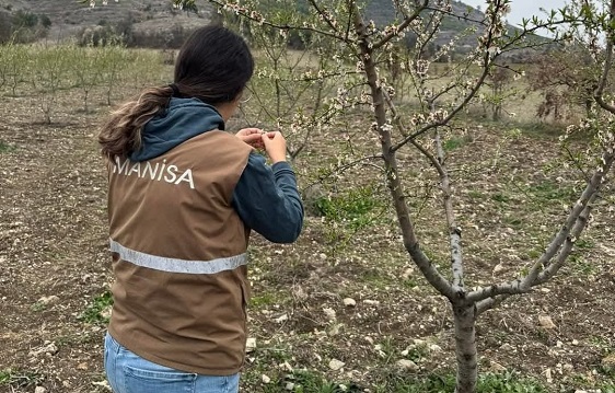 Zirai Dondan etkilenen çiftçiler İlçe Tarım’a başvursun