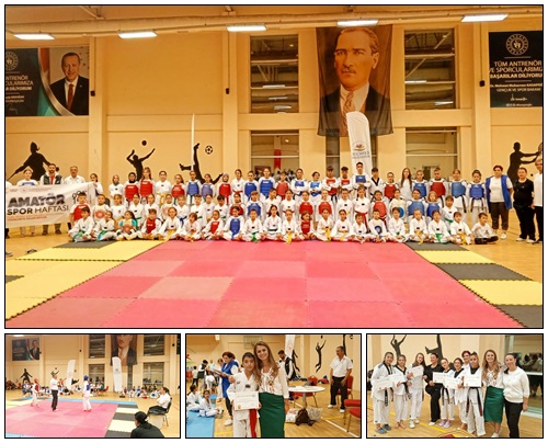Taekwondocu Gür kardeşler Türkiye finallerinde