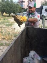 Çöpe atılan Kaplumbağayı Temizlik işçileri kurtardı