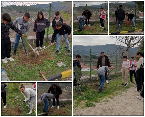 Yağcıllı’da fidan dikimi